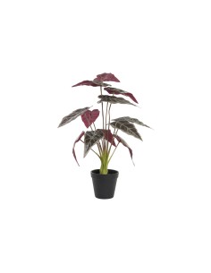 PLANTA  20X20X49 VERDE