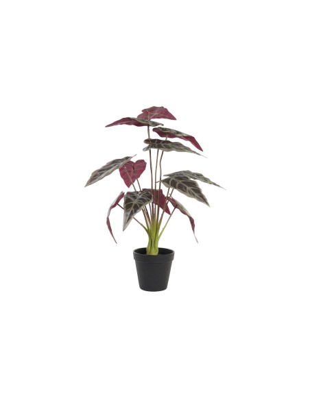 PLANTA  20X20X49 VERDE