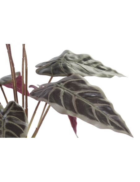 PLANTA  20X20X49 VERDE