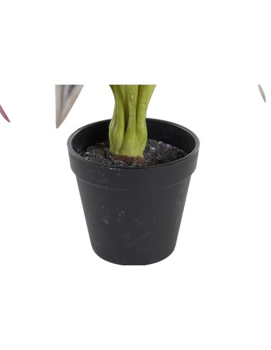 PLANTA  20X20X49 VERDE