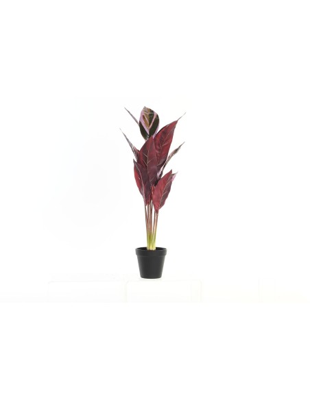 PLANTA 25X25X67 ROSA