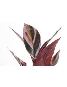 PLANTA 25X25X67 ROSA 2
