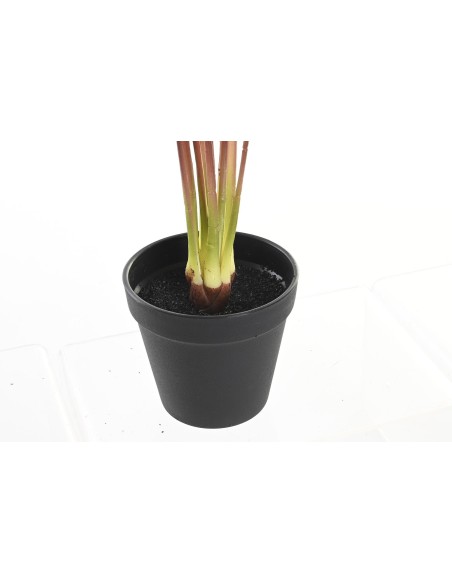 PLANTA 25X25X67 ROSA