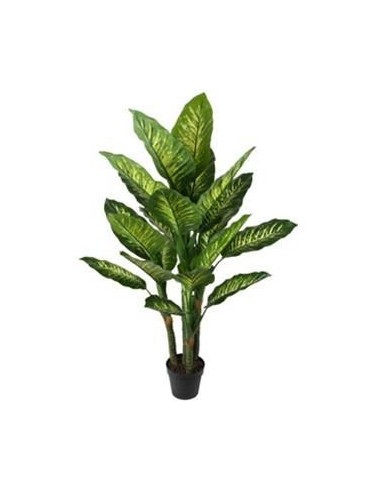 PLANTA DIEFENBACHIA VERDE 150CM