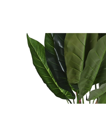 PLANTA HIEDRA PARLOUR VERDE PLANTA HIEDRA PARLOUR VERDE