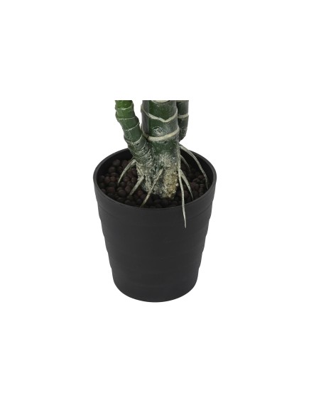 PLANTA HIEDRA PARLOUR VERDE PLANTA HIEDRA PARLOUR VERDE