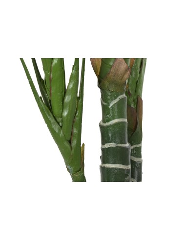 PLANTA HIEDRA PARLOUR VERDE