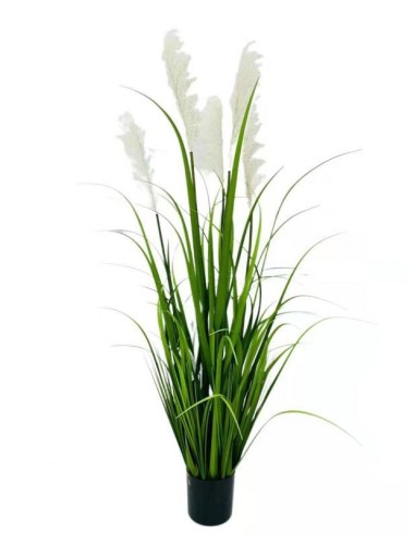 Planta 160 cm 7 ramas de pampas blancas