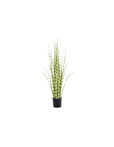 PLANTA PE PVC 30X30X90 ZEBRA VERDE