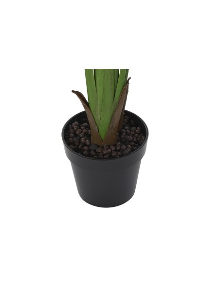 PLANTA PE 60X60X180 ARBOL DEL VIAJERO VERDE