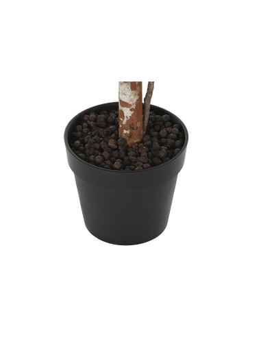 PLANTA PE 60X60X150 VERDE