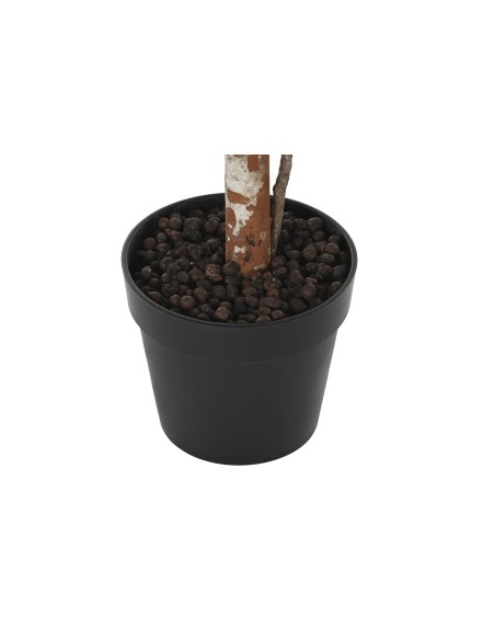 PLANTA PE 60X60X150 VERDE PLANTA PE 60X60X150 VERDE