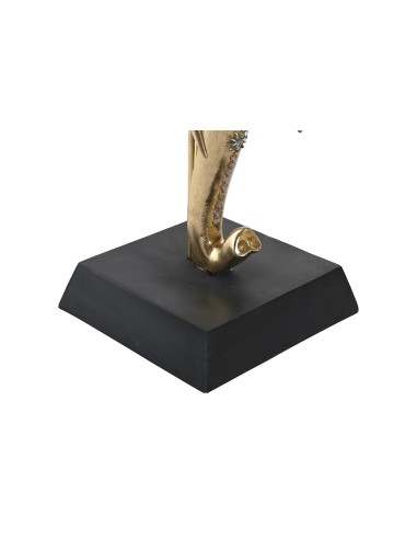 CABEZA DE ELEFANTE INDU