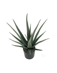 PLANTA ARTIFICIAL ALOE VERA 2