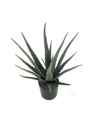 PLANTA ARTIFICIAL ALOE VERA