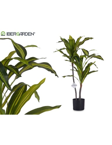 PLANTA DE HOJA ANCHA 90CM