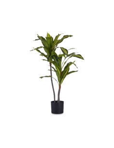 PLANTA DE HOJA ANCHA 90CM 2