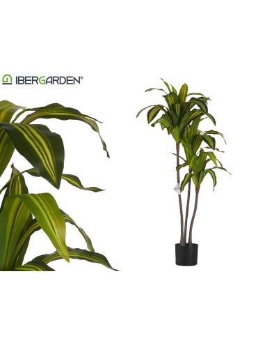 PLANTA HOJA ANCHA GRANDE 120CM