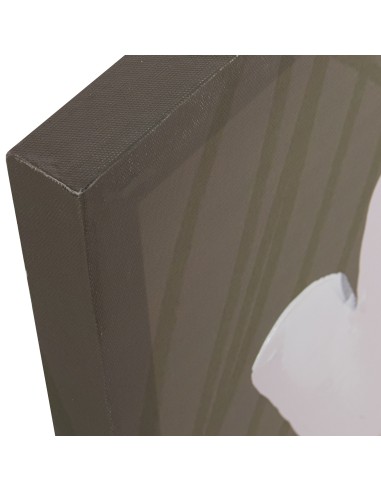 Set 2 cuadros Lienzo flores