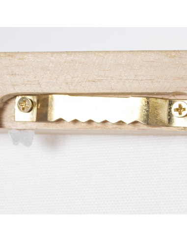 Set 2 cuadros Lienzo flores