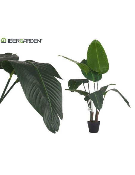 Planta con maceta artificial esterlicia