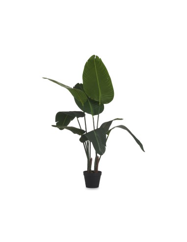 Planta con maceta artificial esterlicia