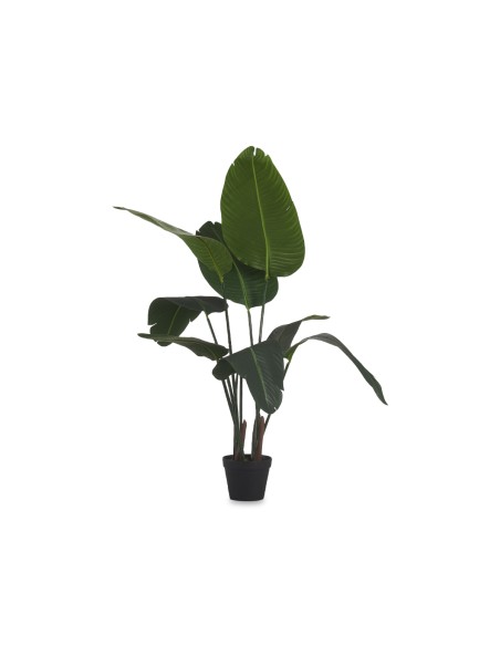 Planta con maceta artificial esterlicia