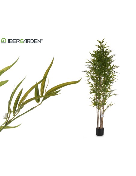 Planta maceta bambú