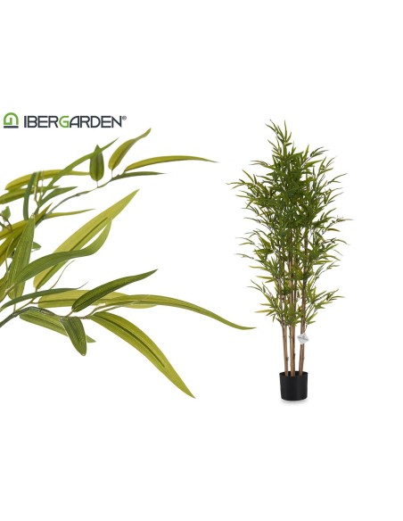 Planta maceta bambú