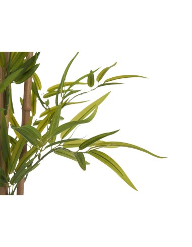 Planta maceta bambú