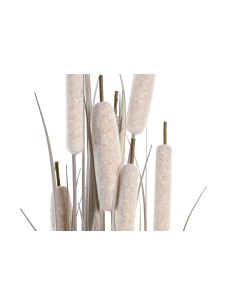 Planta junco gris 2