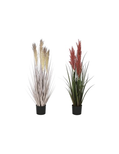 Planta plumero 90cm