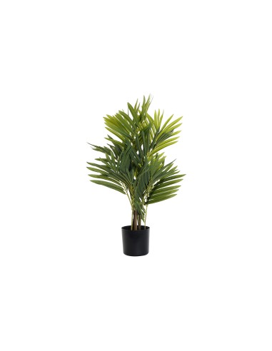 Planta palmera verde 70cm