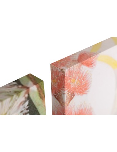 Cuadro lienzo cacatua 50*70