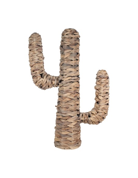 Cactus de Hoja de Banana