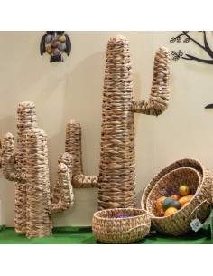 Cactus de Hoja de Banana 2