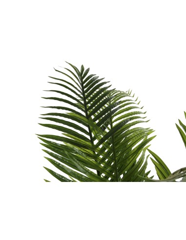 Planta palmera areca verde 160cm