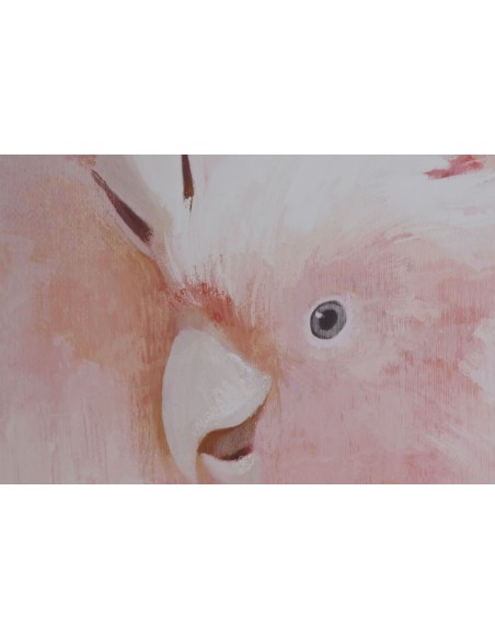 Cuadro lienzo cotorras