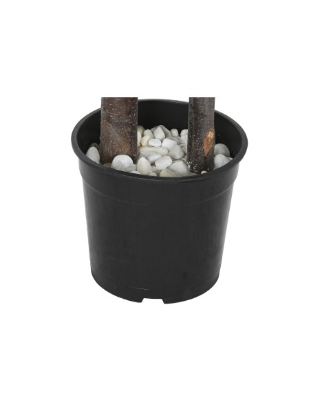 Planta artificial ficus 2 ramas