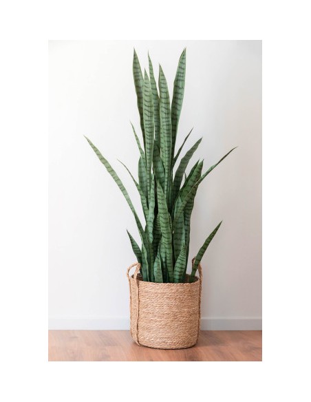 Planta artificial sansevieria verde