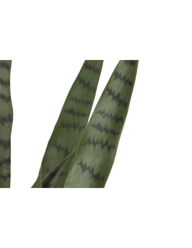 Planta artificial sansevieria verde