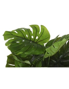 Planta artificial costilla de adán 2