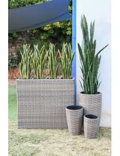 Planta artificial sansevieria 2