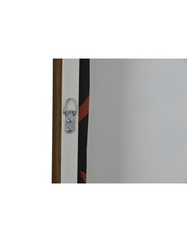 Cuadro lienzo de leopardo