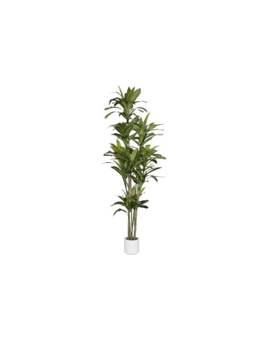 Planta artificial dracaena verde