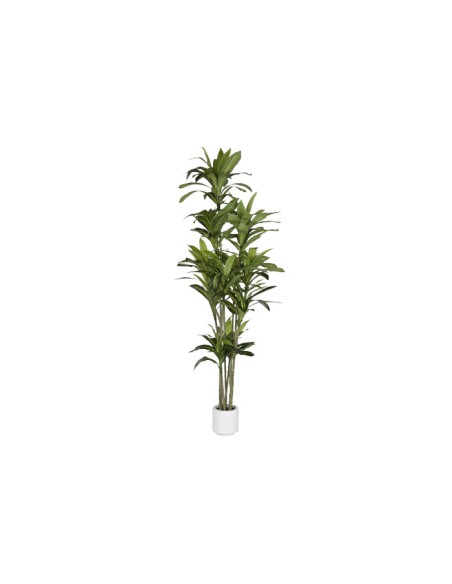 Planta artificial dracaena verde Planta artificial dracaena verde