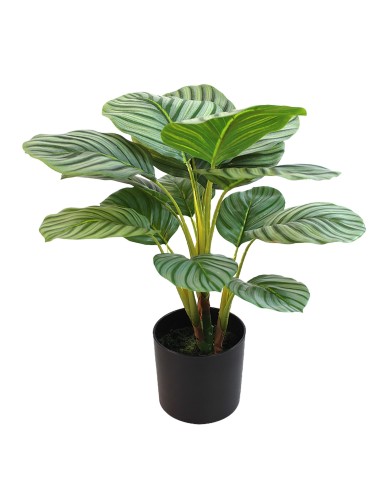 Planta artificial Calathea pequeña