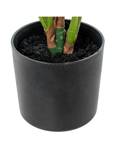 Planta artificial Calathea pequeña 2