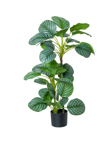 Planta artificial 3 troncos calathea