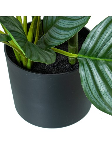 Planta artificial 3 troncos calathea